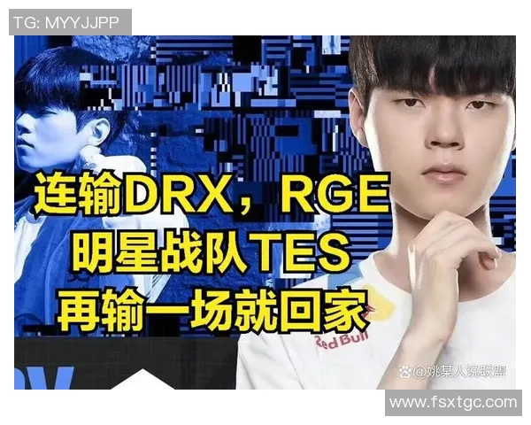 TES战队配合表现深度分析与数据解读探讨